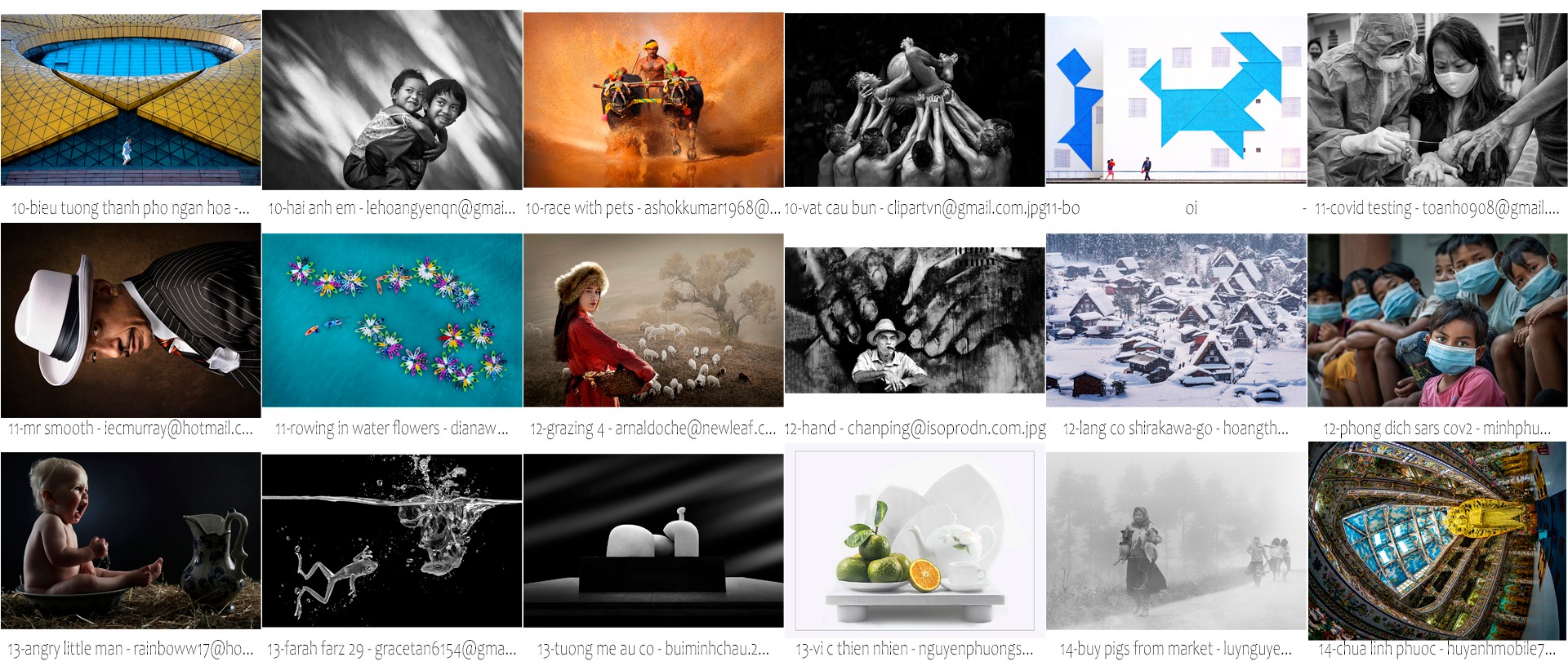 Huy Chương Vàng cuộc thi ảnh Quốc Tế “DALAT YERSIN PHOTOGRAPHY AWARDS”